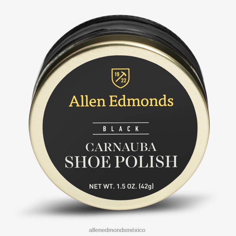 Esmalte de cera de carnauba tamaño de viaje BB60H409 negro unisexoAllen Edmonds