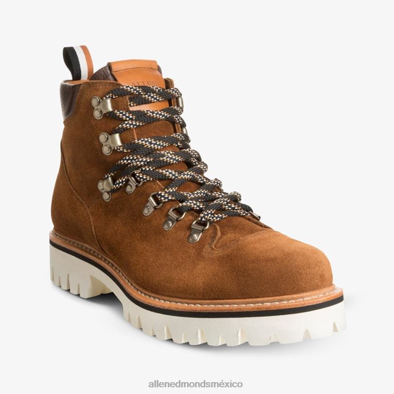 Bota de montaña resistente a la intemperie de gamuza Aspen BB60H118 ante marrón savia hombresAllen Edmonds