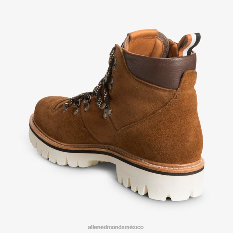 Bota de montaña resistente a la intemperie de gamuza Aspen BB60H118 ante marrón savia hombresAllen Edmonds