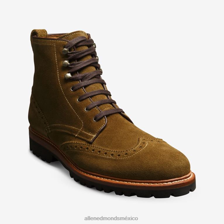 bota astor con punta de ala BB60H486 alcaparra verde hombresAllen Edmonds