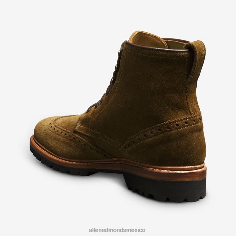 bota astor con punta de ala BB60H486 alcaparra verde hombresAllen Edmonds