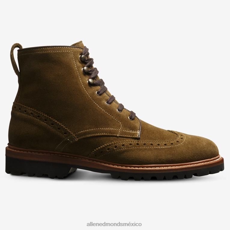 bota astor con punta de ala BB60H486 alcaparra verde hombresAllen Edmonds