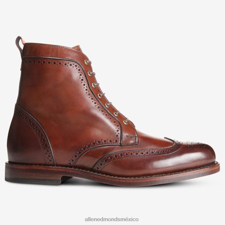 bota de vestir con punta de ala dalton BB60H482 chile oscuro hombresAllen Edmonds