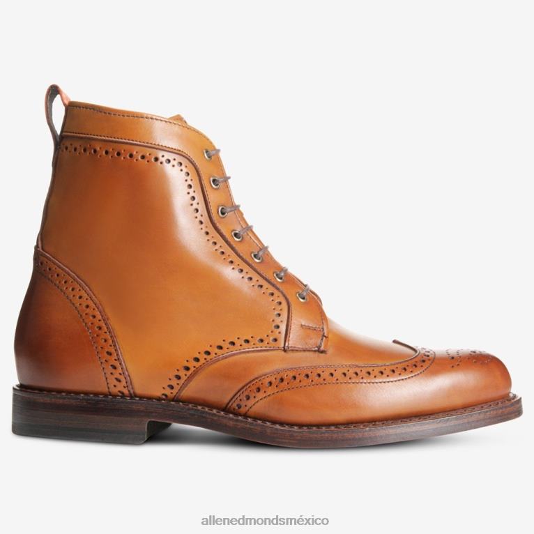 bota de vestir con punta de ala dalton BB60H483 marrón nuez hombresAllen Edmonds