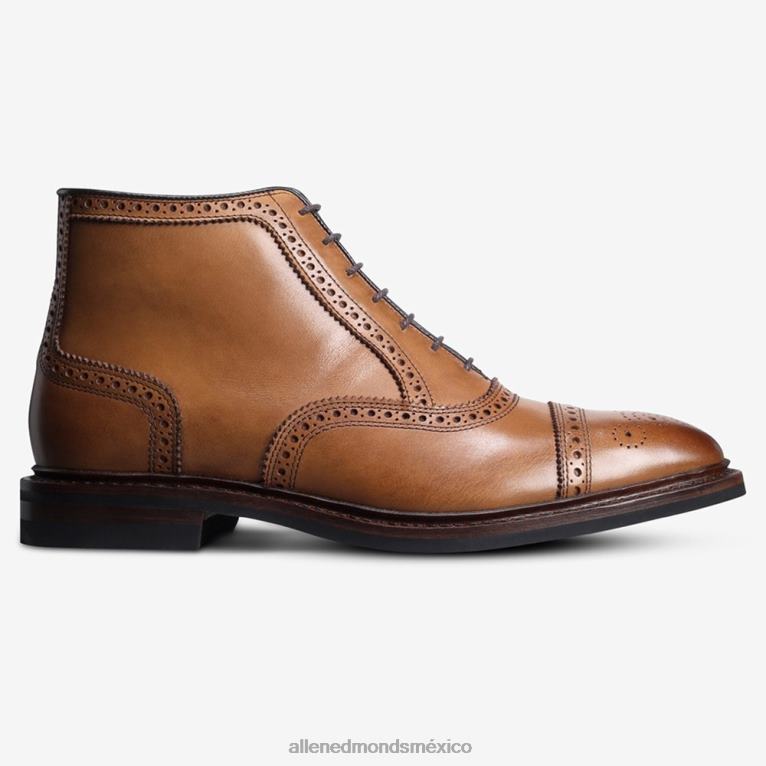 bota de vestir oxford resistente a la intemperie hamilton BB60H341 marrón nuez hombresAllen Edmonds