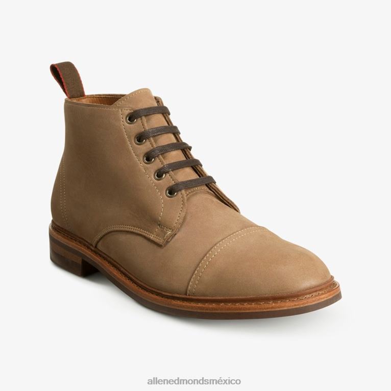 bota patton resistente a la intemperie BB60H132 broncearse hombresAllen Edmonds