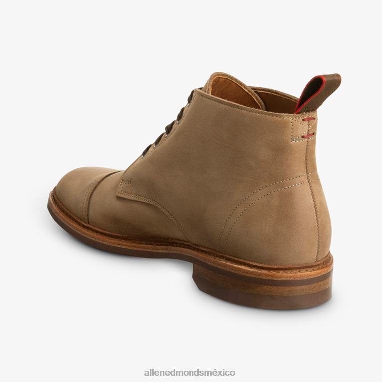 bota patton resistente a la intemperie BB60H132 broncearse hombresAllen Edmonds