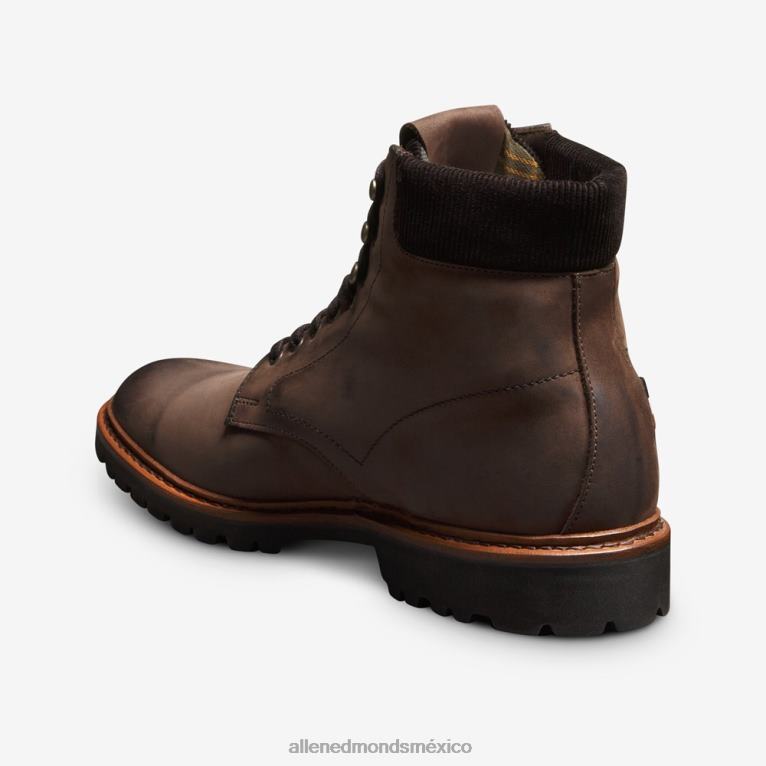 bota higgins mill barbour BB60H76 marrón hombresAllen Edmonds