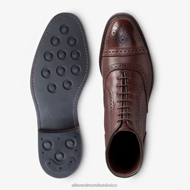 bota de vestir oxford con puntera hamilton BB60H131 marrón caído hombresAllen Edmonds