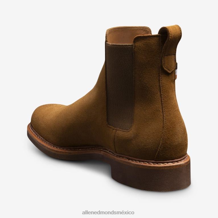 bota chelsea denali BB60H62 ante marrón hombresAllen Edmonds