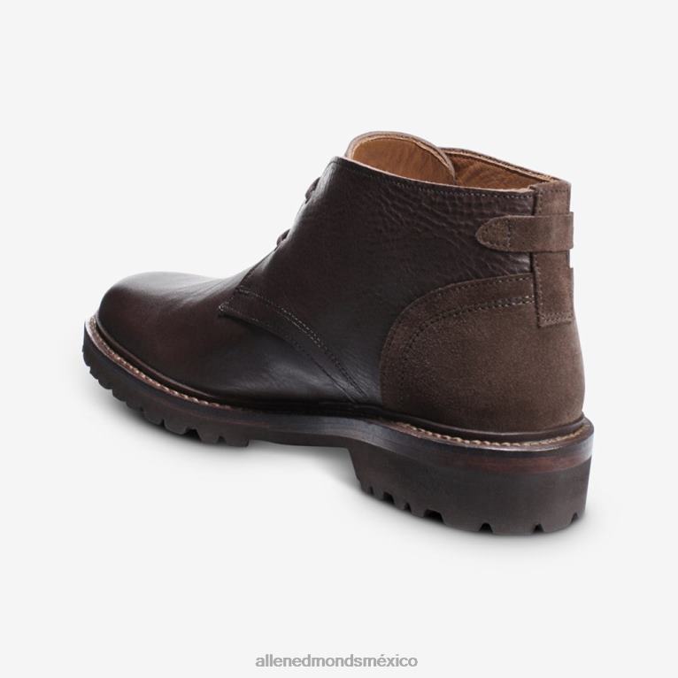 bota chukka descubrimiento BB60H346 marrón hombresAllen Edmonds