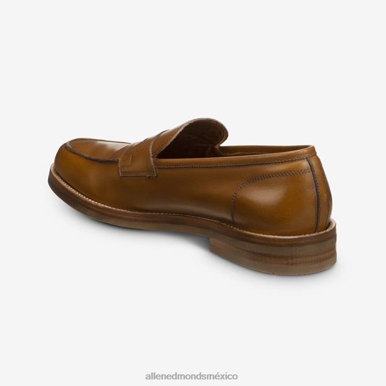 mocasines newton penny BB60H70 nuez hombresAllen Edmonds