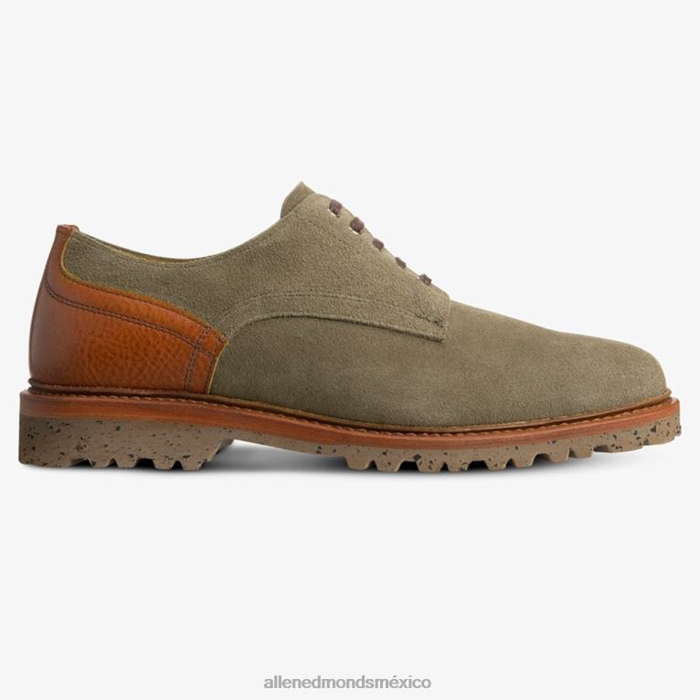 zapato derby descubrimiento de ante BB60H454 clavo/coñac hombresAllen Edmonds