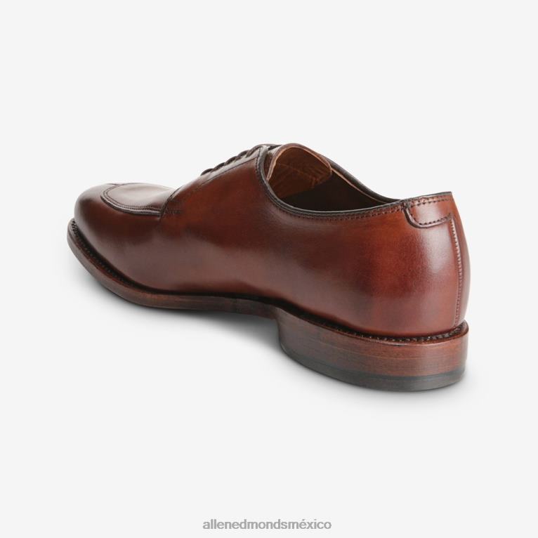 zapato de vestir blucher delray BB60H374 chile oscuro hombresAllen Edmonds