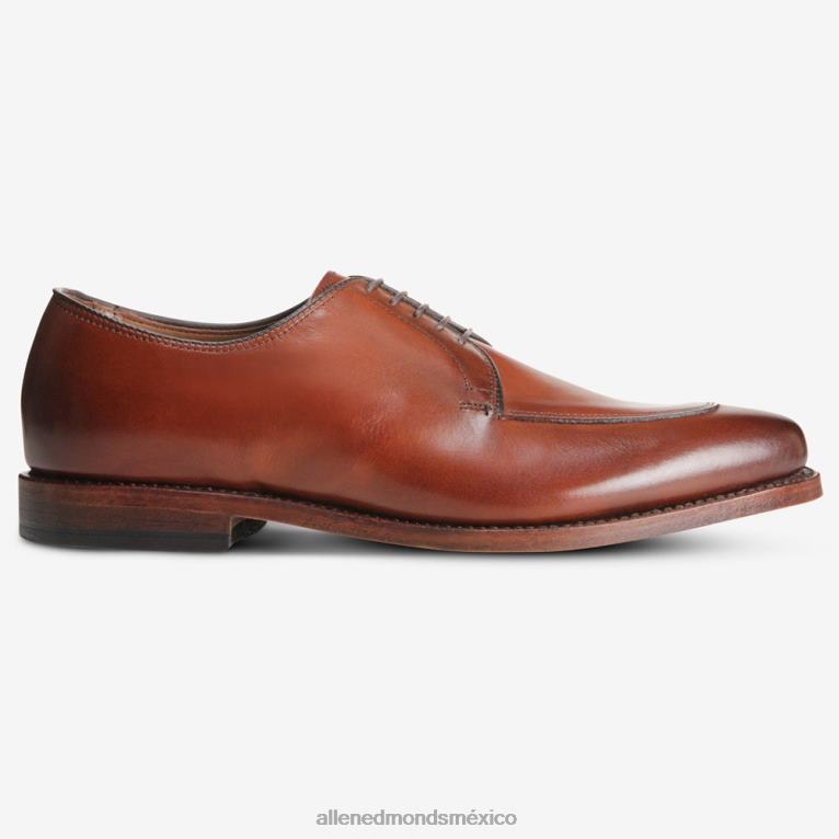 zapato de vestir blucher delray BB60H374 chile oscuro hombresAllen Edmonds