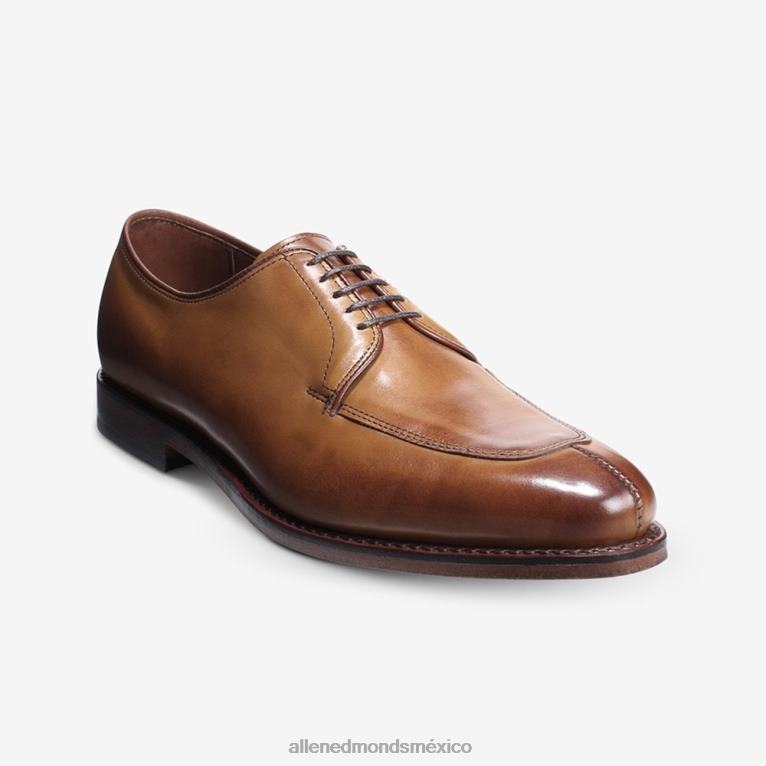 zapato de vestir blucher delray BB60H375 marrón nuez hombresAllen Edmonds