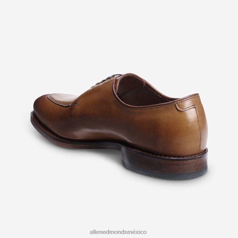 zapato de vestir blucher delray BB60H375 marrón nuez hombresAllen Edmonds