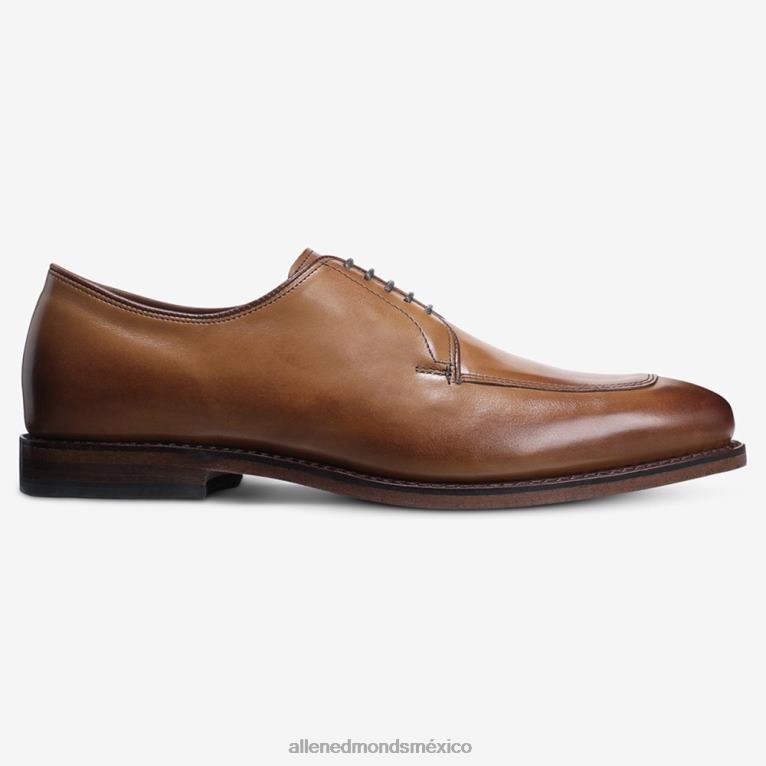 zapato de vestir blucher delray BB60H375 marrón nuez hombresAllen Edmonds