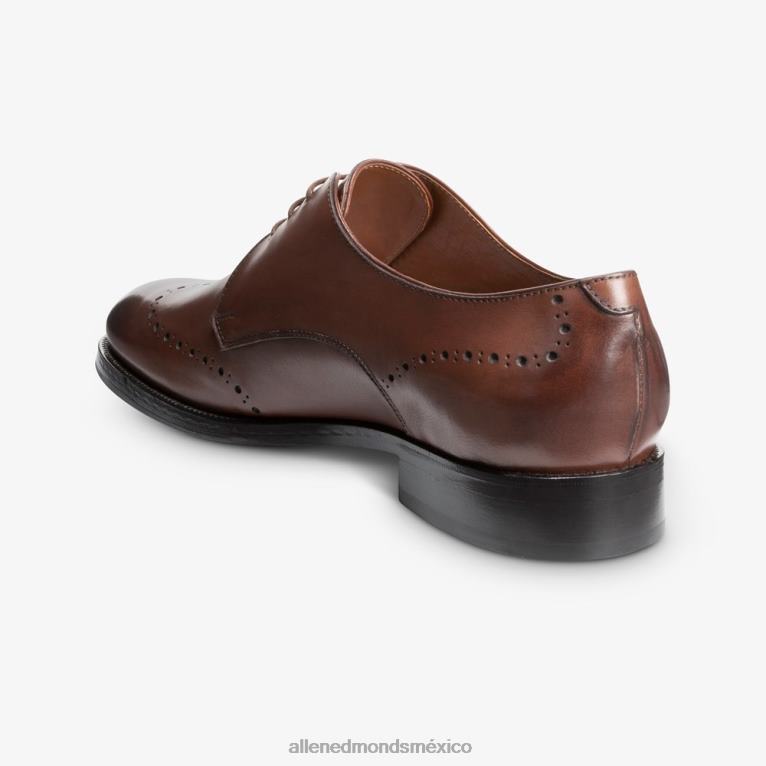 zapato de vestir lucca derby BB60H321 chile oscuro hombresAllen Edmonds