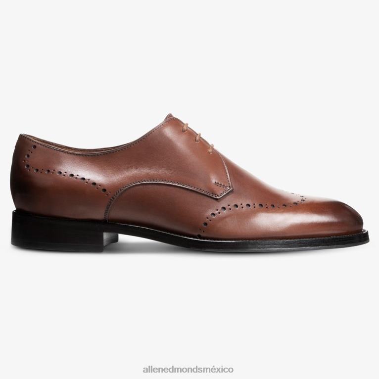 zapato de vestir lucca derby BB60H321 chile oscuro hombresAllen Edmonds