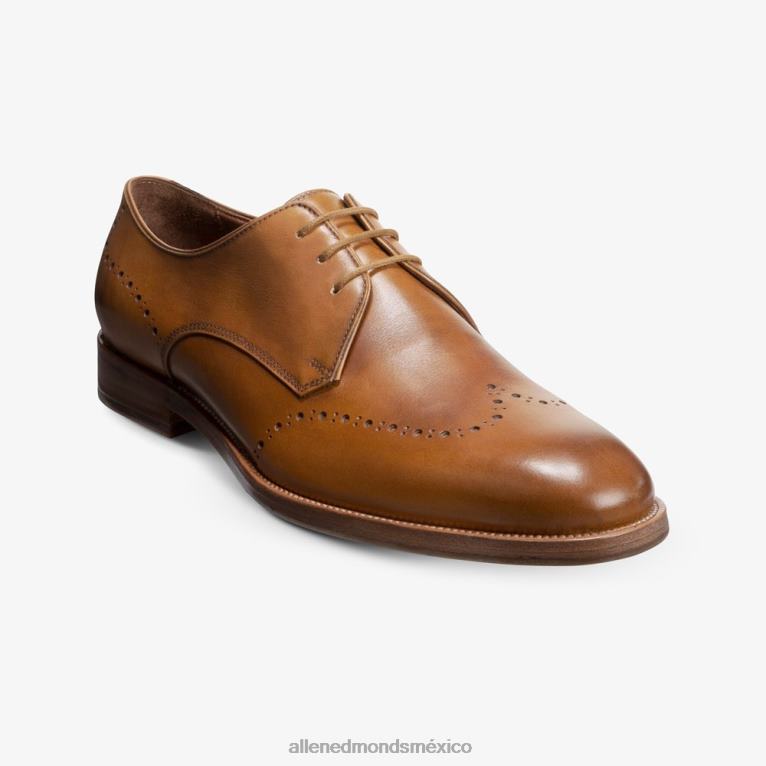 zapato de vestir lucca derby BB60H322 marrón nuez hombresAllen Edmonds