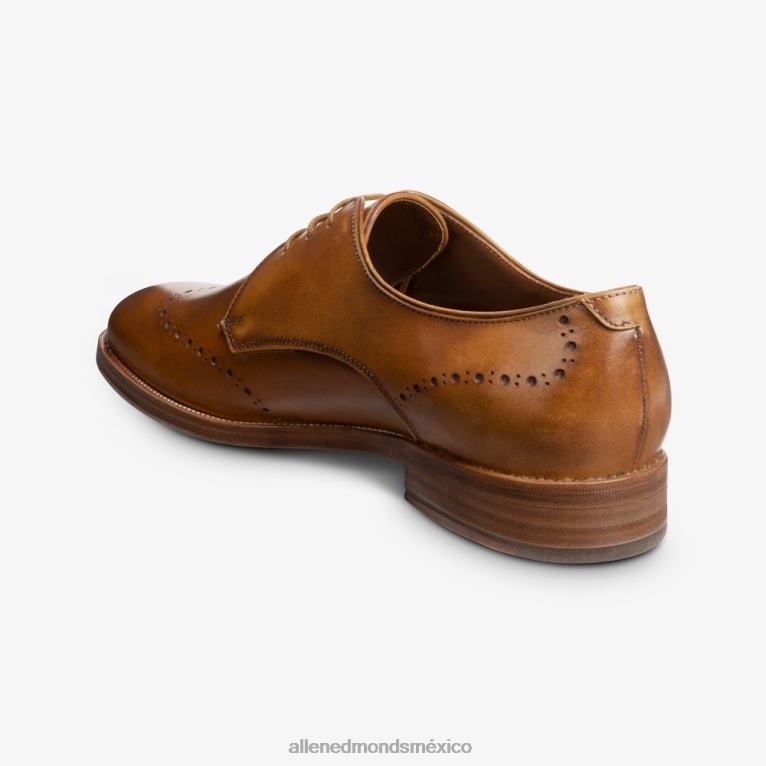 zapato de vestir lucca derby BB60H322 marrón nuez hombresAllen Edmonds