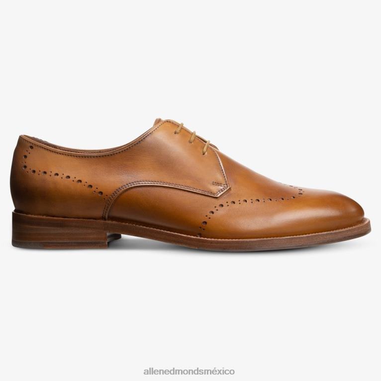 zapato de vestir lucca derby BB60H322 marrón nuez hombresAllen Edmonds