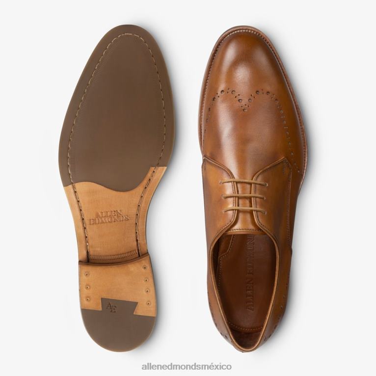 zapato de vestir lucca derby BB60H322 marrón nuez hombresAllen Edmonds