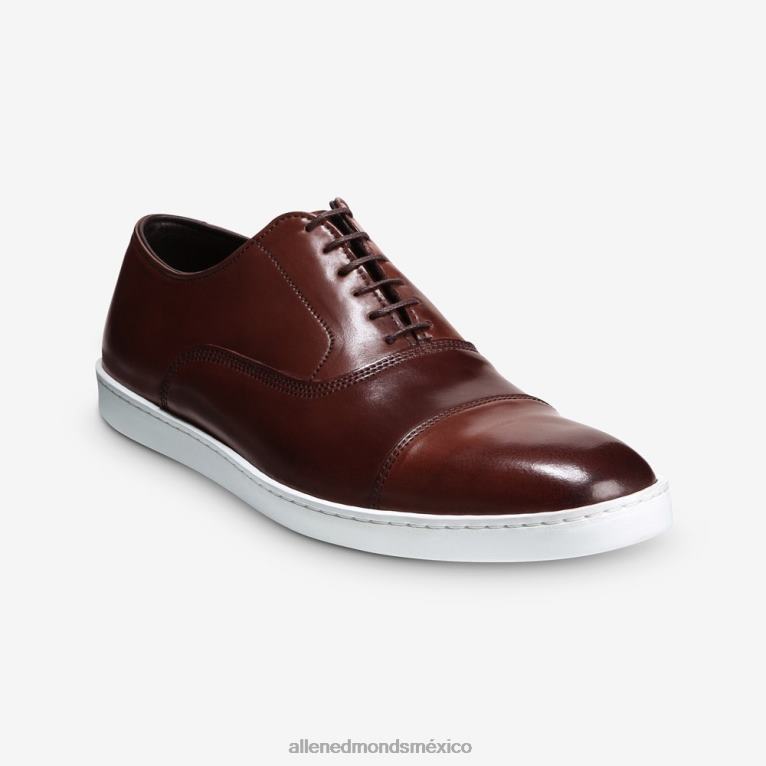 Park Avenue Shell Cordovan Oxford vestir zapatillas BB60H21 chile cordobés hombresAllen Edmonds