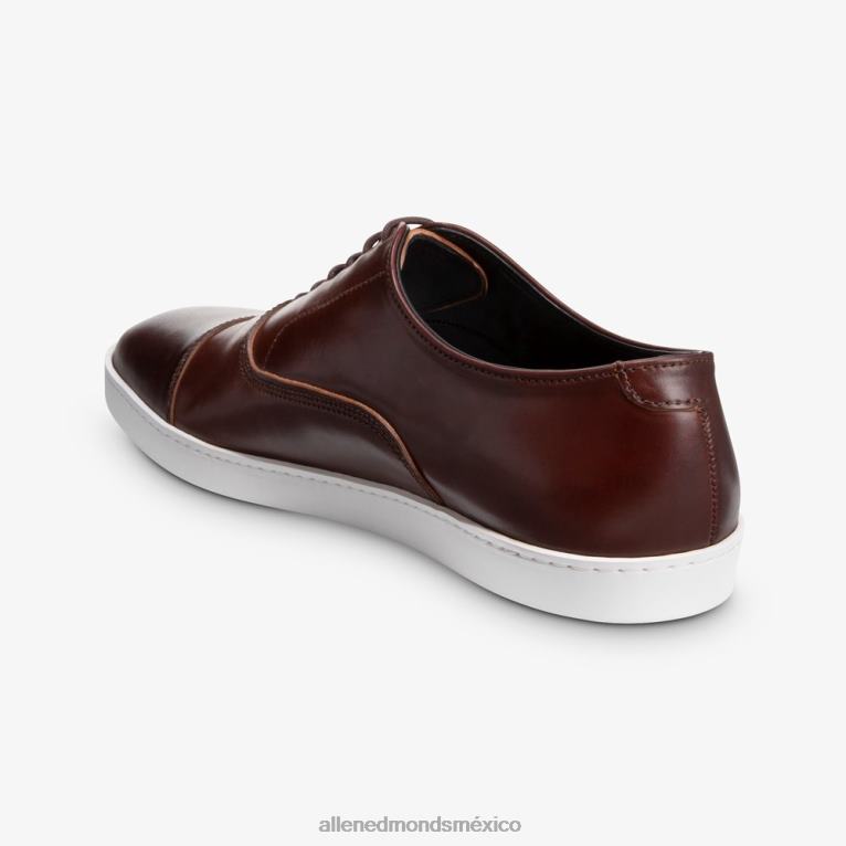 Park Avenue Shell Cordovan Oxford vestir zapatillas BB60H21 chile cordobés hombresAllen Edmonds