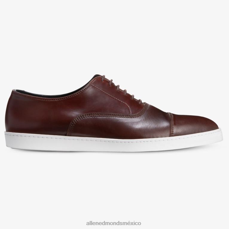 Park Avenue Shell Cordovan Oxford vestir zapatillas BB60H21 chile cordobés hombresAllen Edmonds