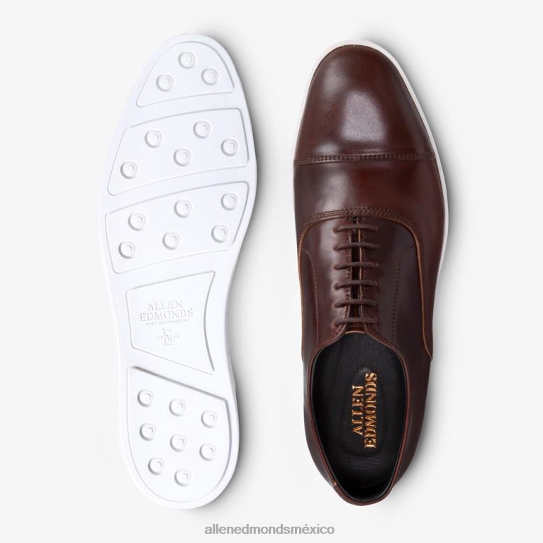 Park Avenue Shell Cordovan Oxford vestir zapatillas BB60H21 chile cordobés hombresAllen Edmonds