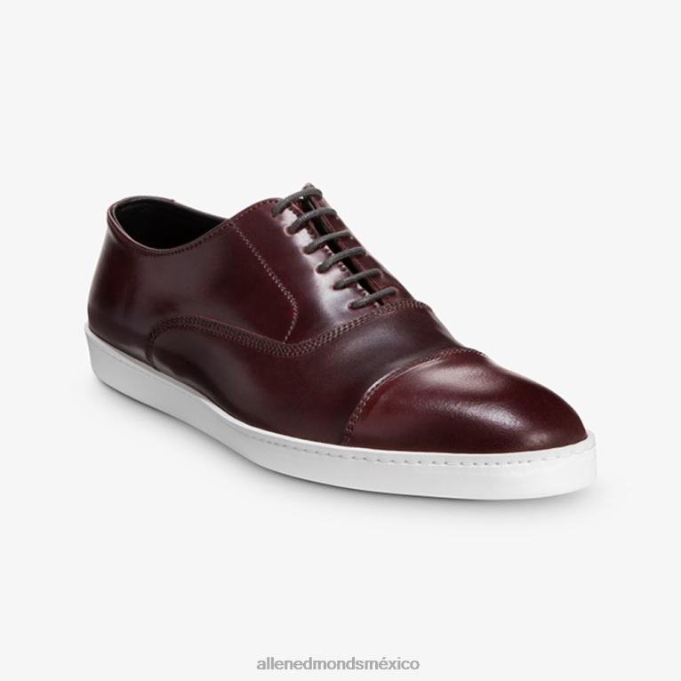 Park Avenue Shell Cordovan Oxford vestir zapatillas BB60H264 cordobés burdeos hombresAllen Edmonds