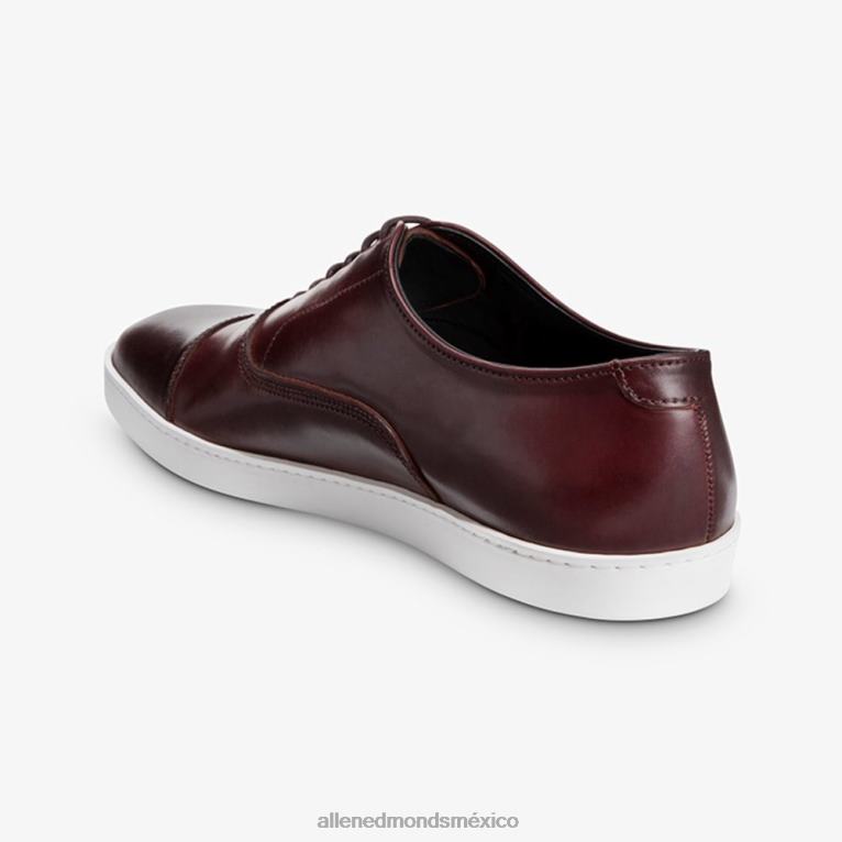 Park Avenue Shell Cordovan Oxford vestir zapatillas BB60H264 cordobés burdeos hombresAllen Edmonds