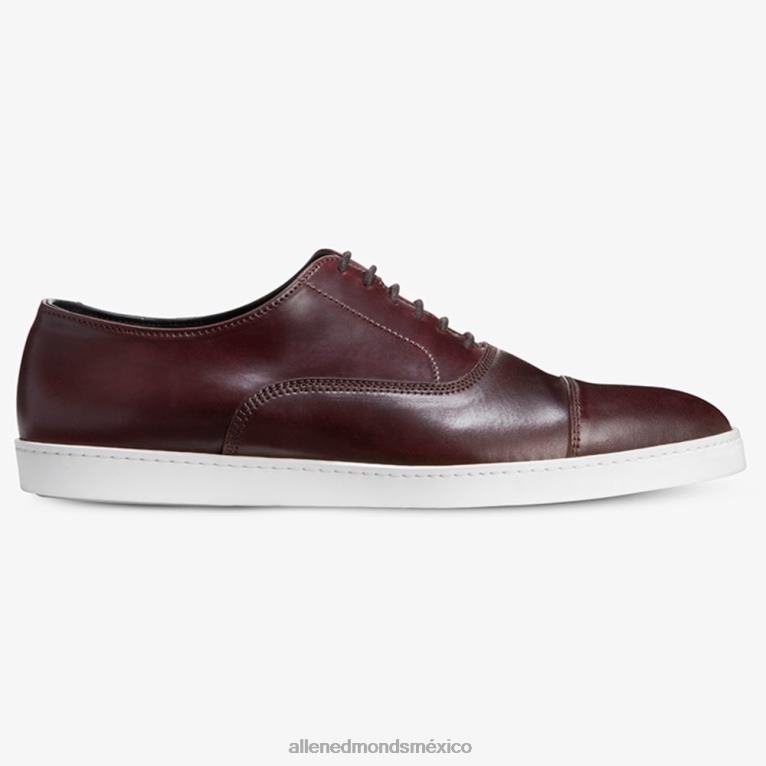 Park Avenue Shell Cordovan Oxford vestir zapatillas BB60H264 cordobés burdeos hombresAllen Edmonds