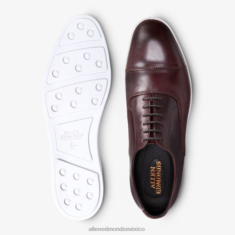 Park Avenue Shell Cordovan Oxford vestir zapatillas BB60H264 cordobés burdeos hombresAllen Edmonds