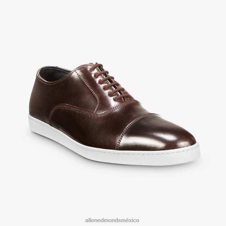 Park Avenue Shell Cordovan Oxford vestir zapatillas BB60H266 marrón hombresAllen Edmonds