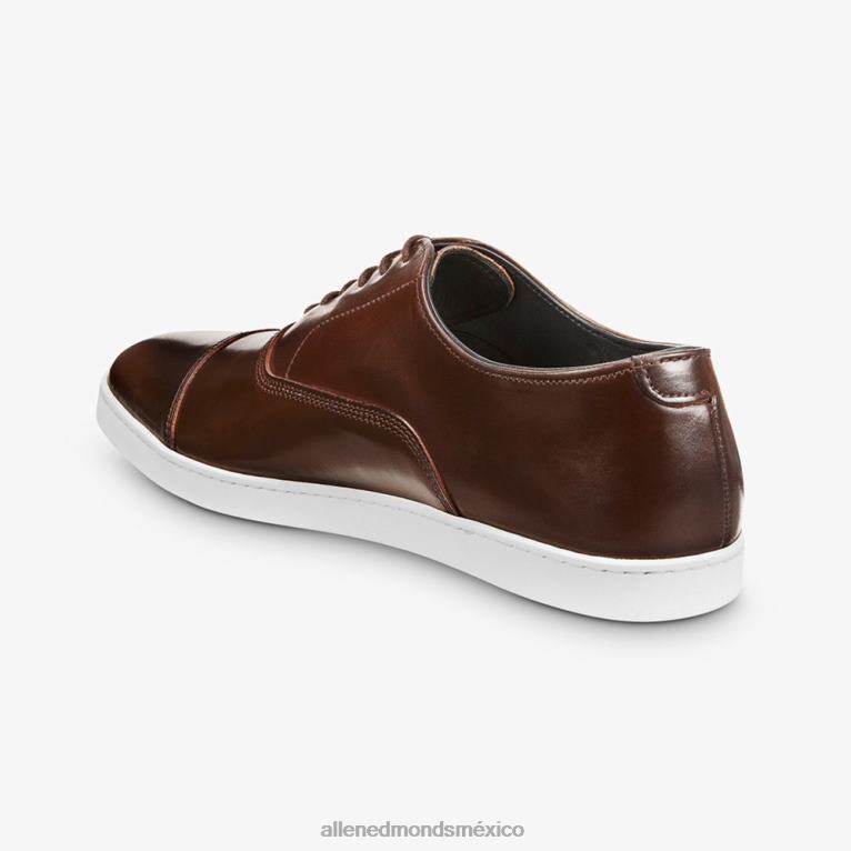 Park Avenue Shell Cordovan Oxford vestir zapatillas BB60H266 marrón hombresAllen Edmonds