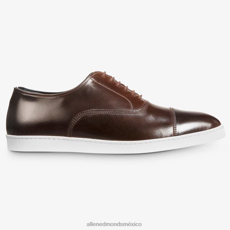 Park Avenue Shell Cordovan Oxford vestir zapatillas BB60H266 marrón hombresAllen Edmonds