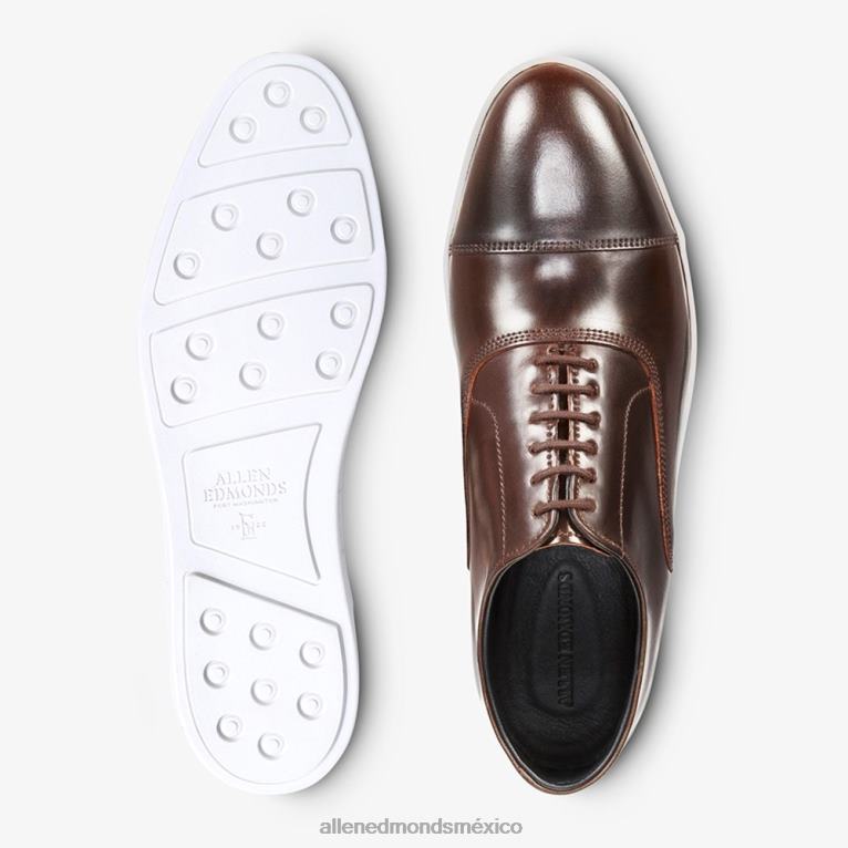 Park Avenue Shell Cordovan Oxford vestir zapatillas BB60H266 marrón hombresAllen Edmonds