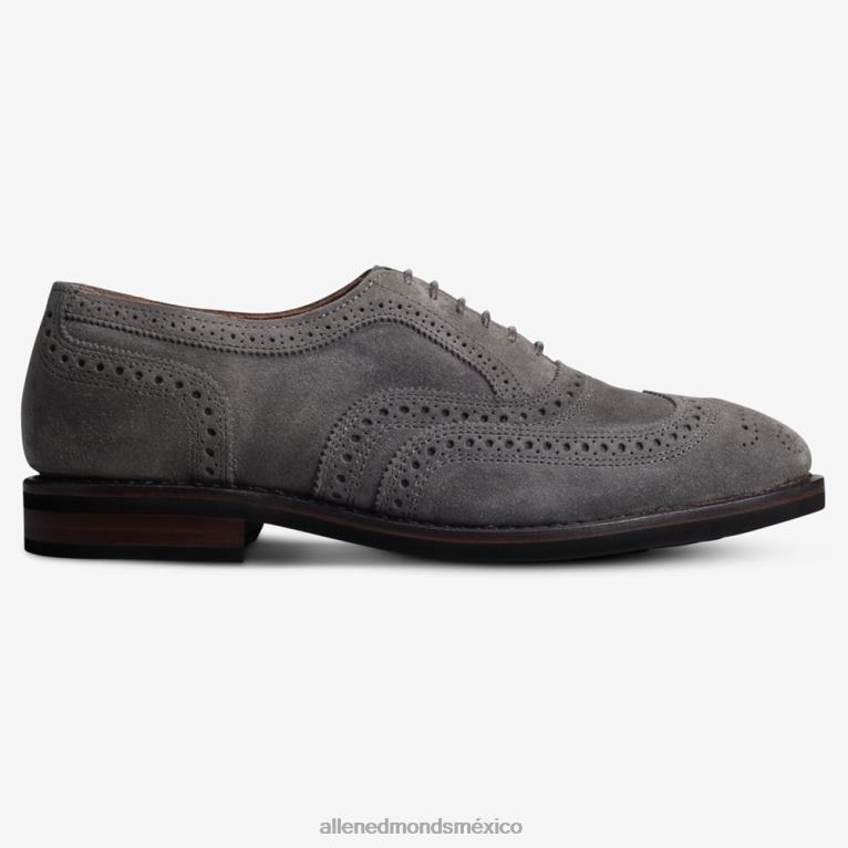 oxford de punta de ala de ante neumok BB60H442 gris hombresAllen Edmonds