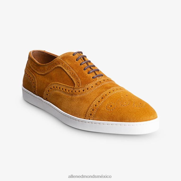 zapatillas oxford con hilos BB60H13 gamuza de cúrcuma hombresAllen Edmonds