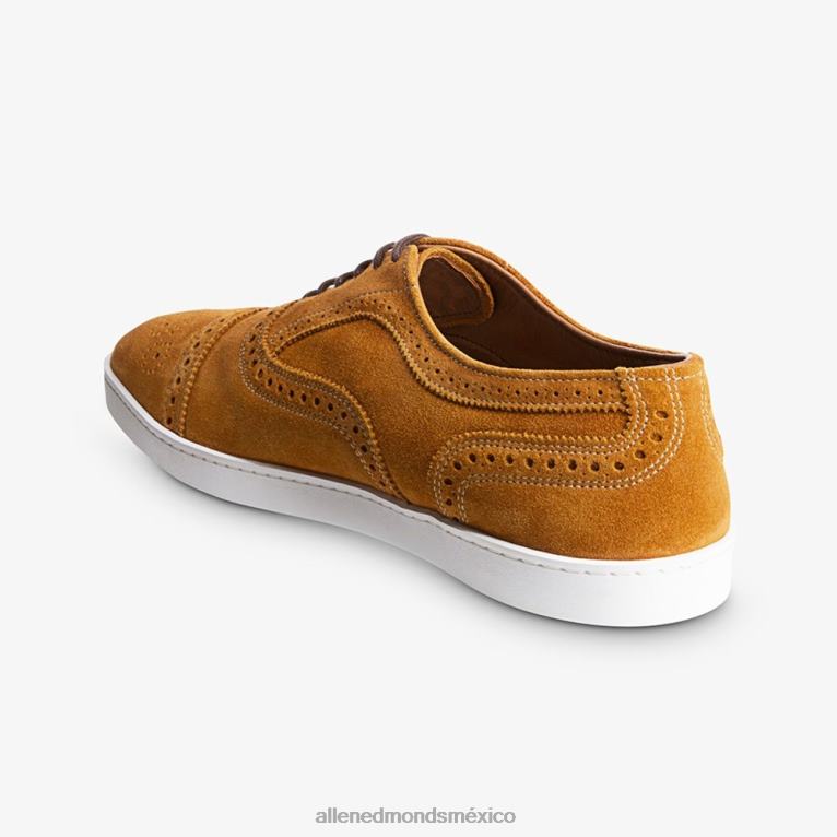 zapatillas oxford con hilos BB60H13 gamuza de cúrcuma hombresAllen Edmonds