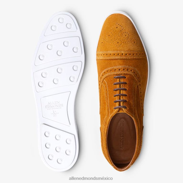 zapatillas oxford con hilos BB60H13 gamuza de cúrcuma hombresAllen Edmonds