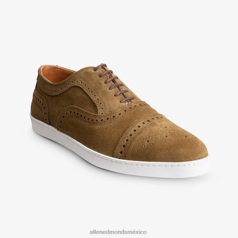 zapatillas oxford con hilos BB60H240 gamuza alcaparra hombresAllen Edmonds