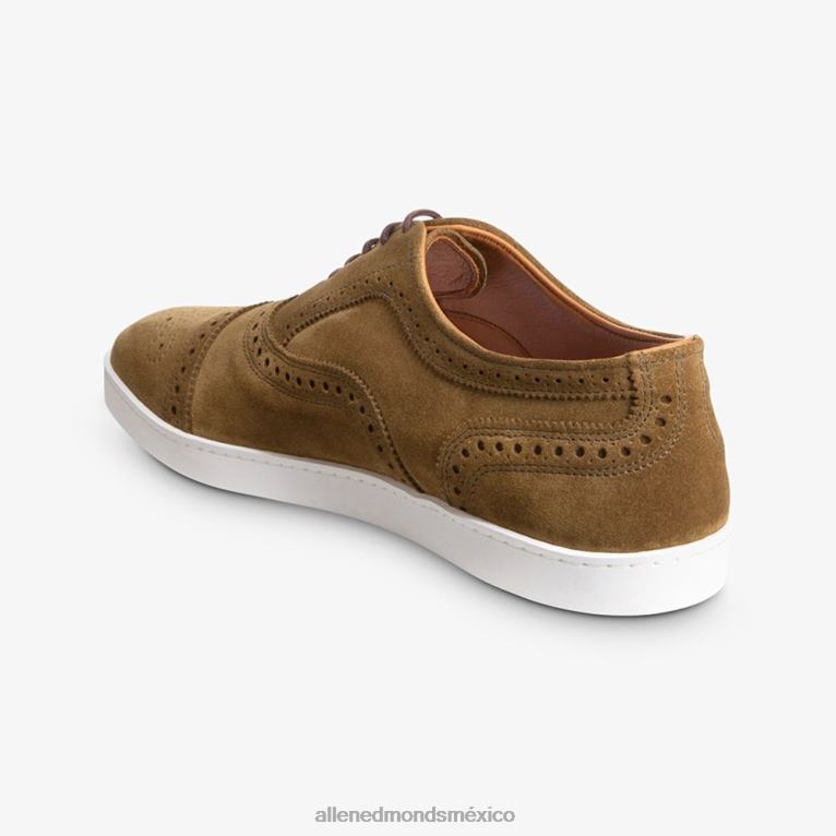 zapatillas oxford con hilos BB60H240 gamuza alcaparra hombresAllen Edmonds