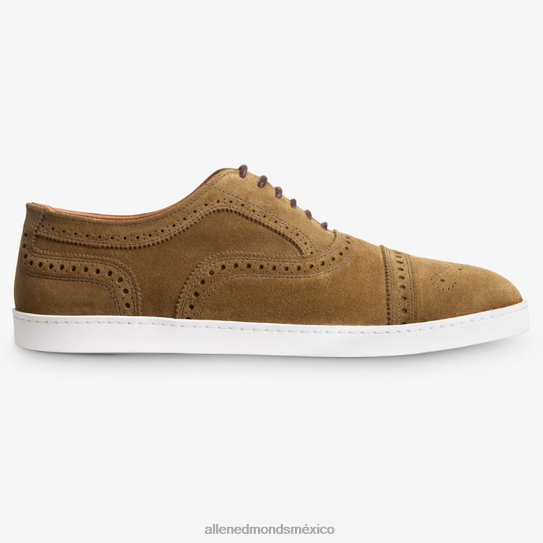 zapatillas oxford con hilos BB60H240 gamuza alcaparra hombresAllen Edmonds