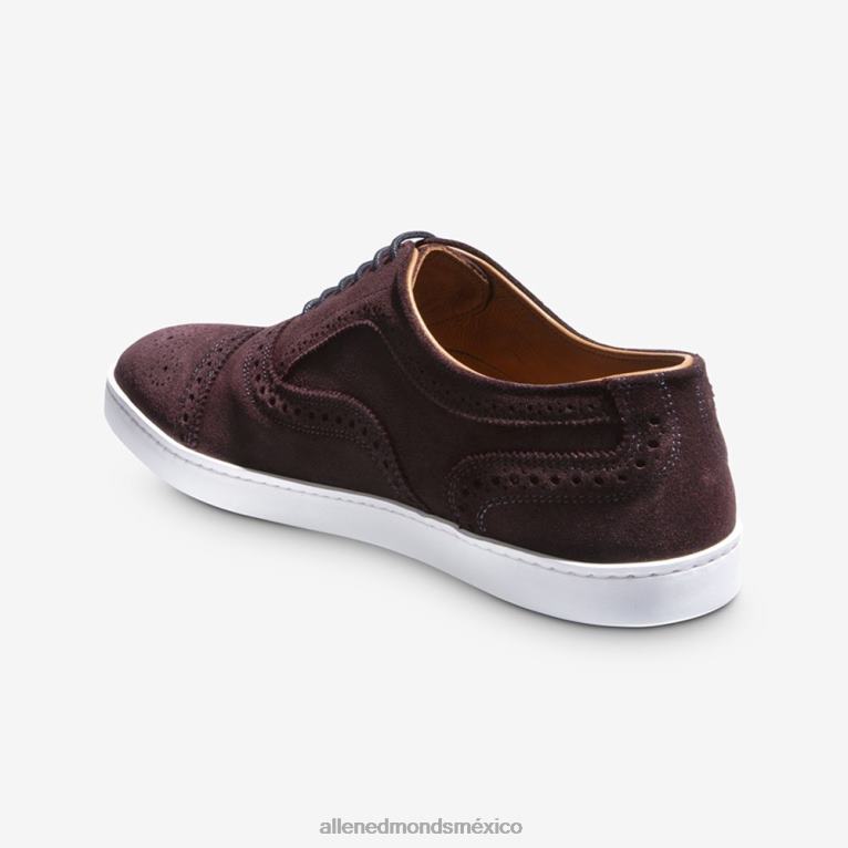 zapatillas oxford con hilos BB60H242 ante burdeos hombresAllen Edmonds