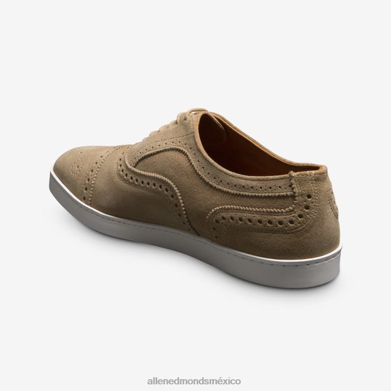 zapatillas oxford de ante con hebras BB60H286 hueso hombresAllen Edmonds