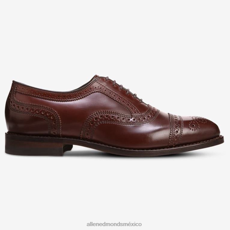 Zapato de vestir oxford cordobés con puntera en concha de hebra BB60H31 chile cordobés hombresAllen Edmonds